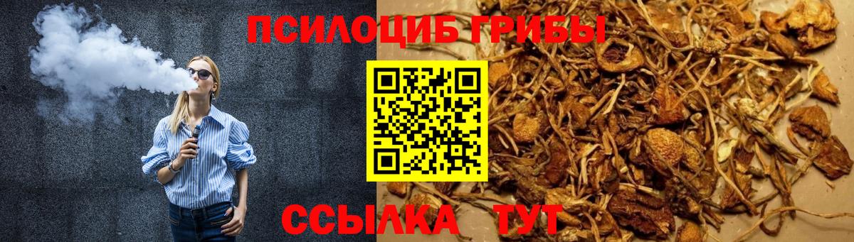 Псилоцибиновые грибы мицелий Ахтубинск