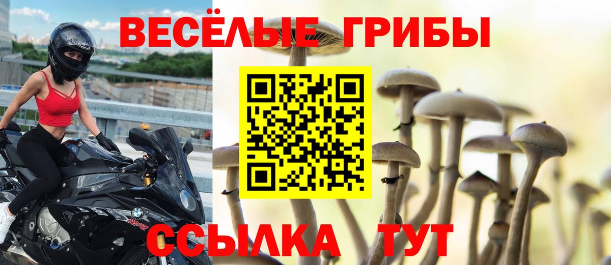 Ахтубинск  Псилоцибиновые грибы Cubensis  Псилоцибиновые грибы Psilocybe  Вход с VPN 